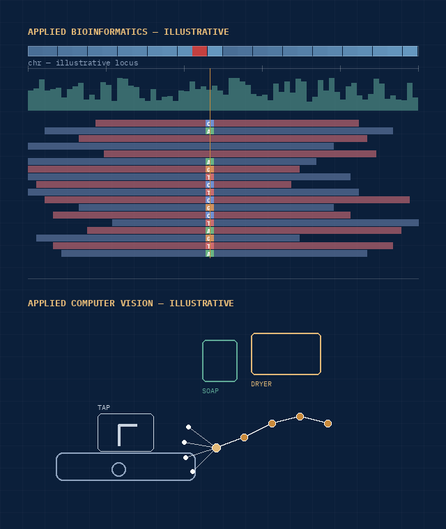 Illustrative visualisations of applied bioinformatics and computer vision research